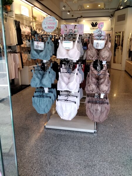 華歌爾-華盈專門店