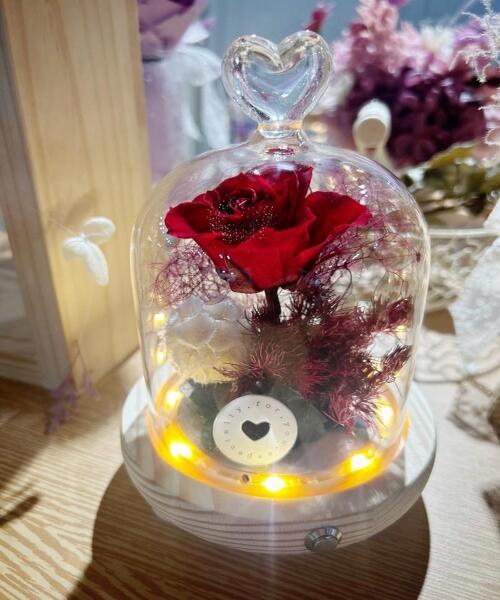 白棉花文化工作室