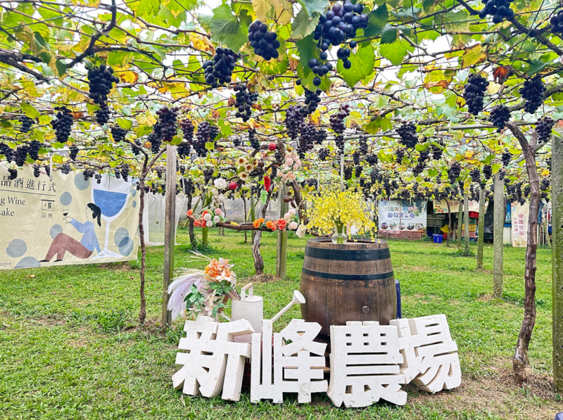 新峰農場