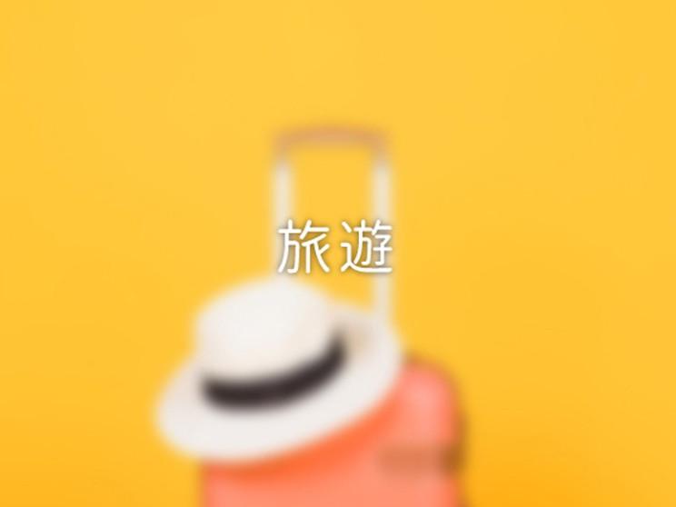 豐客旅行社(股)公司