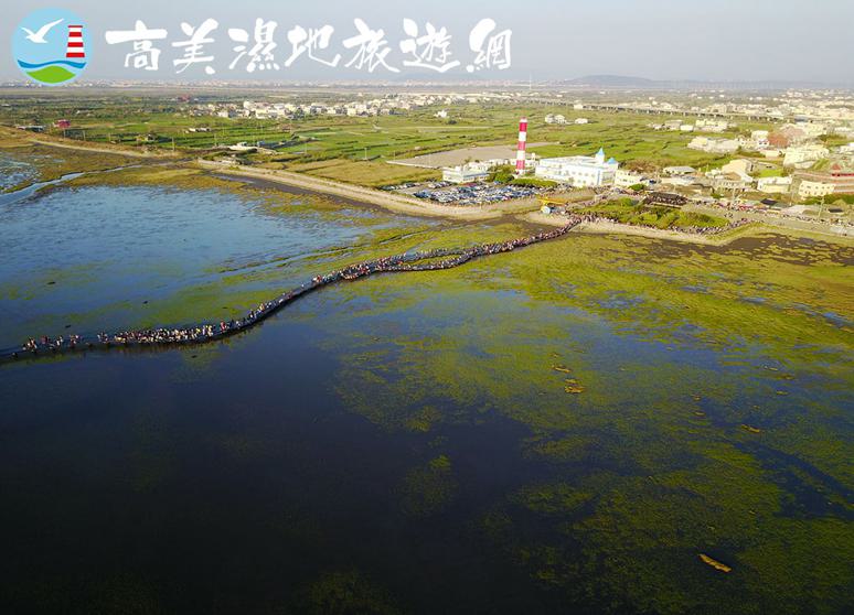 高美濕地旅遊網