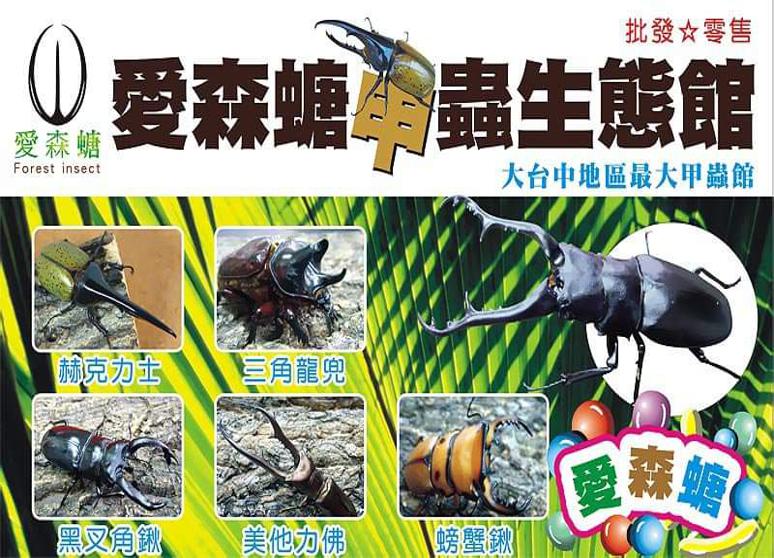 愛森螗甲蟲生物館