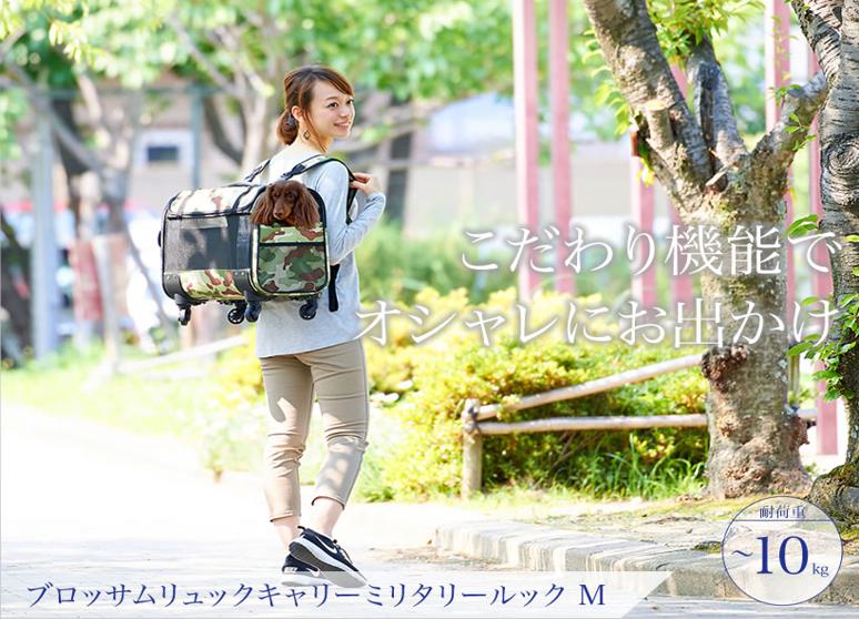 新昱企業有限公司  NEW GREENIN CO.,LTD.