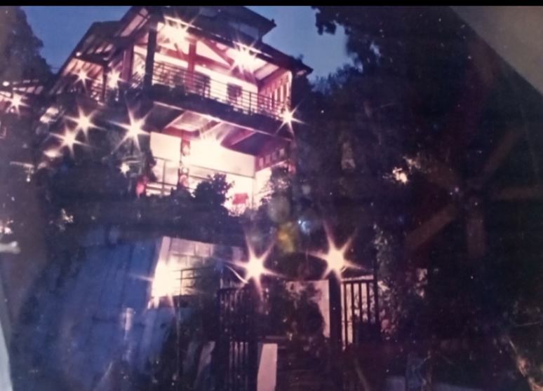 喬木民宿美食館