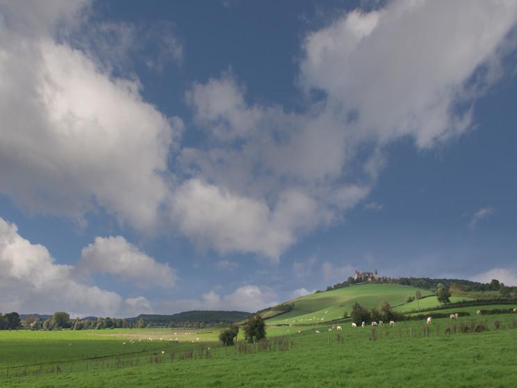 艾莉國際事業社