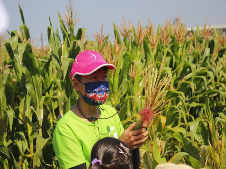 城市耕農雞農場