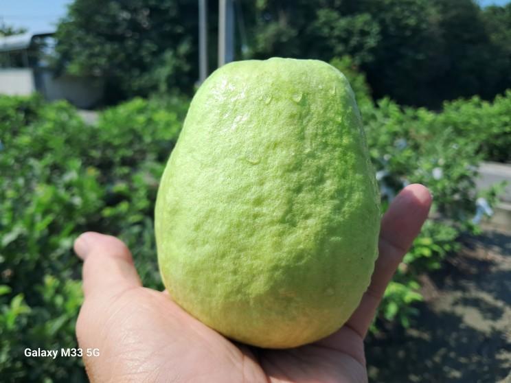 禧哥元氣食品行