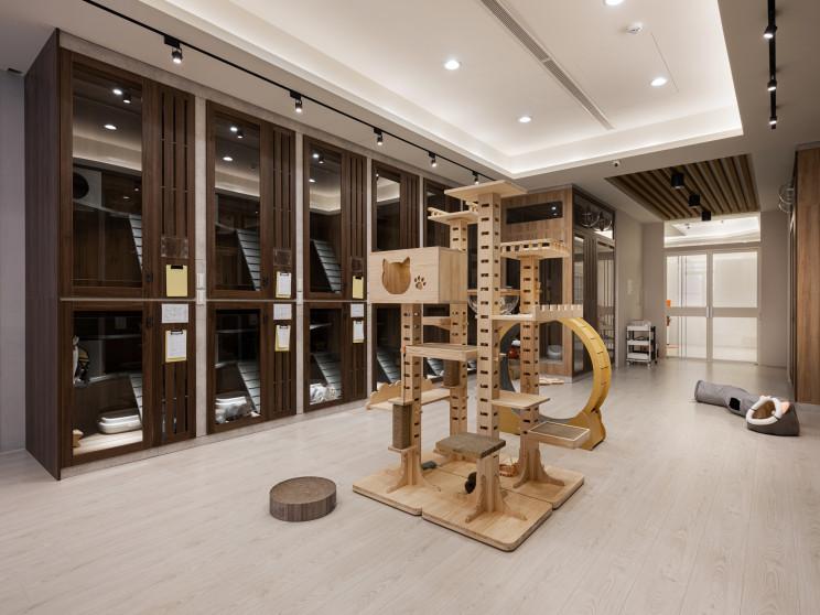 台中牧猫精品寵物旅館