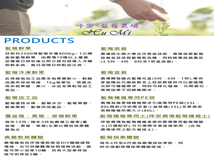 呼密藍莓農場