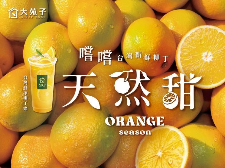 大苑子-台中精誠店